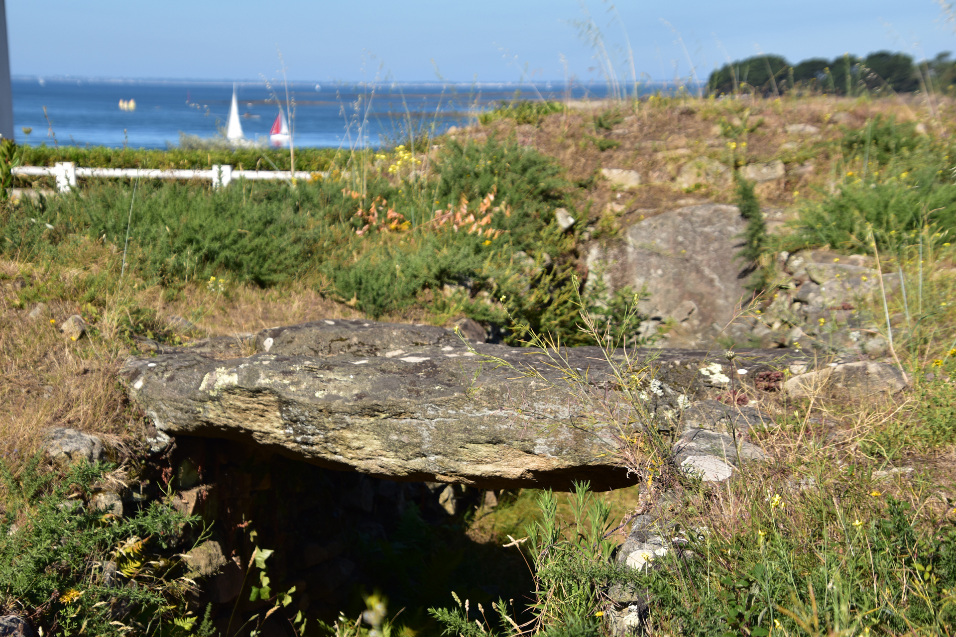 L'allée couverte de Bilgroix