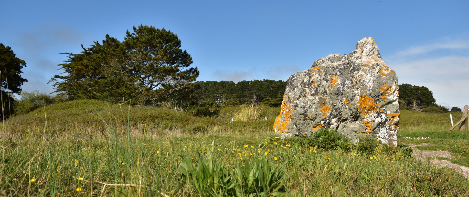 Le menhir de la pierre jaune