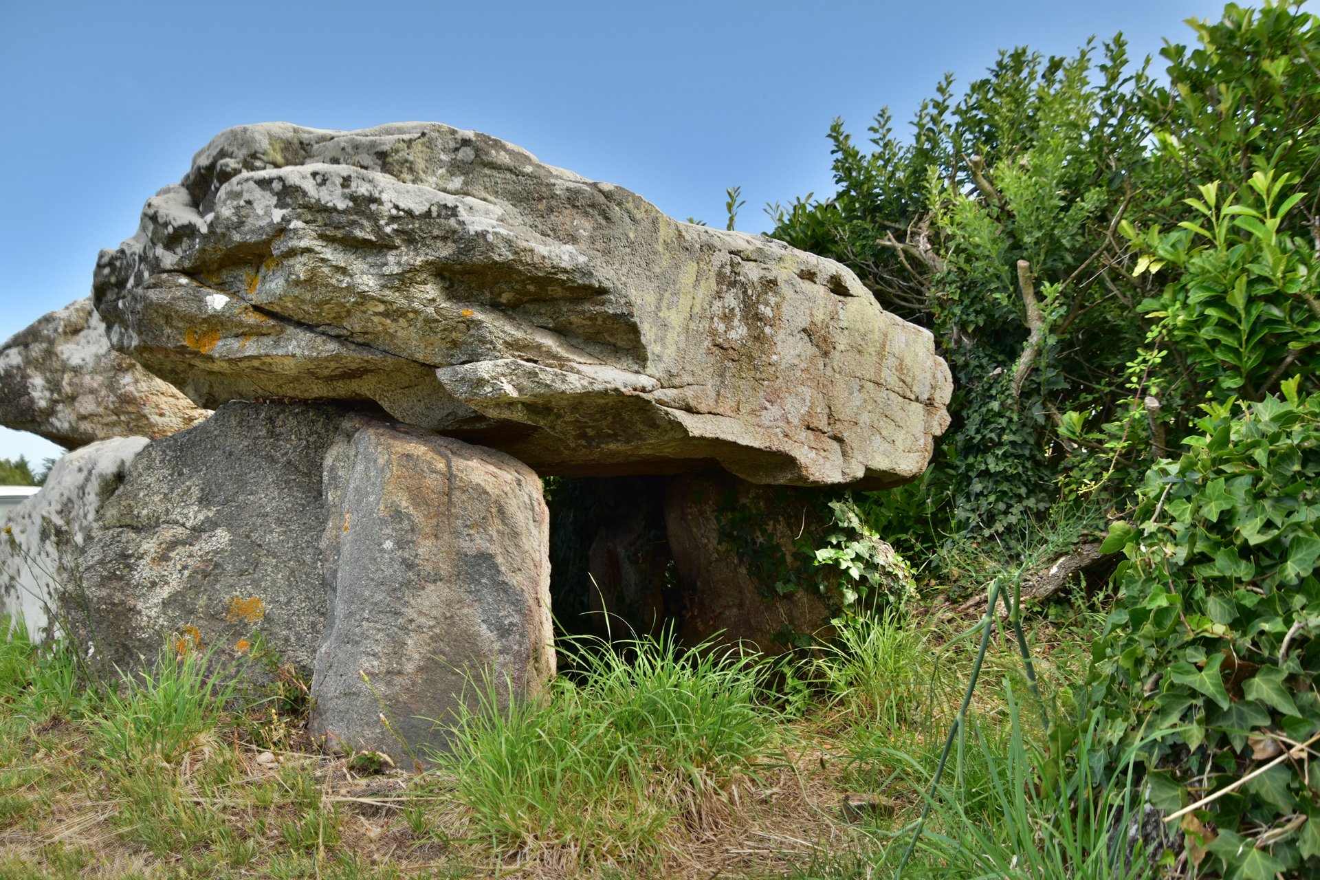 Le dolmen de Brillac