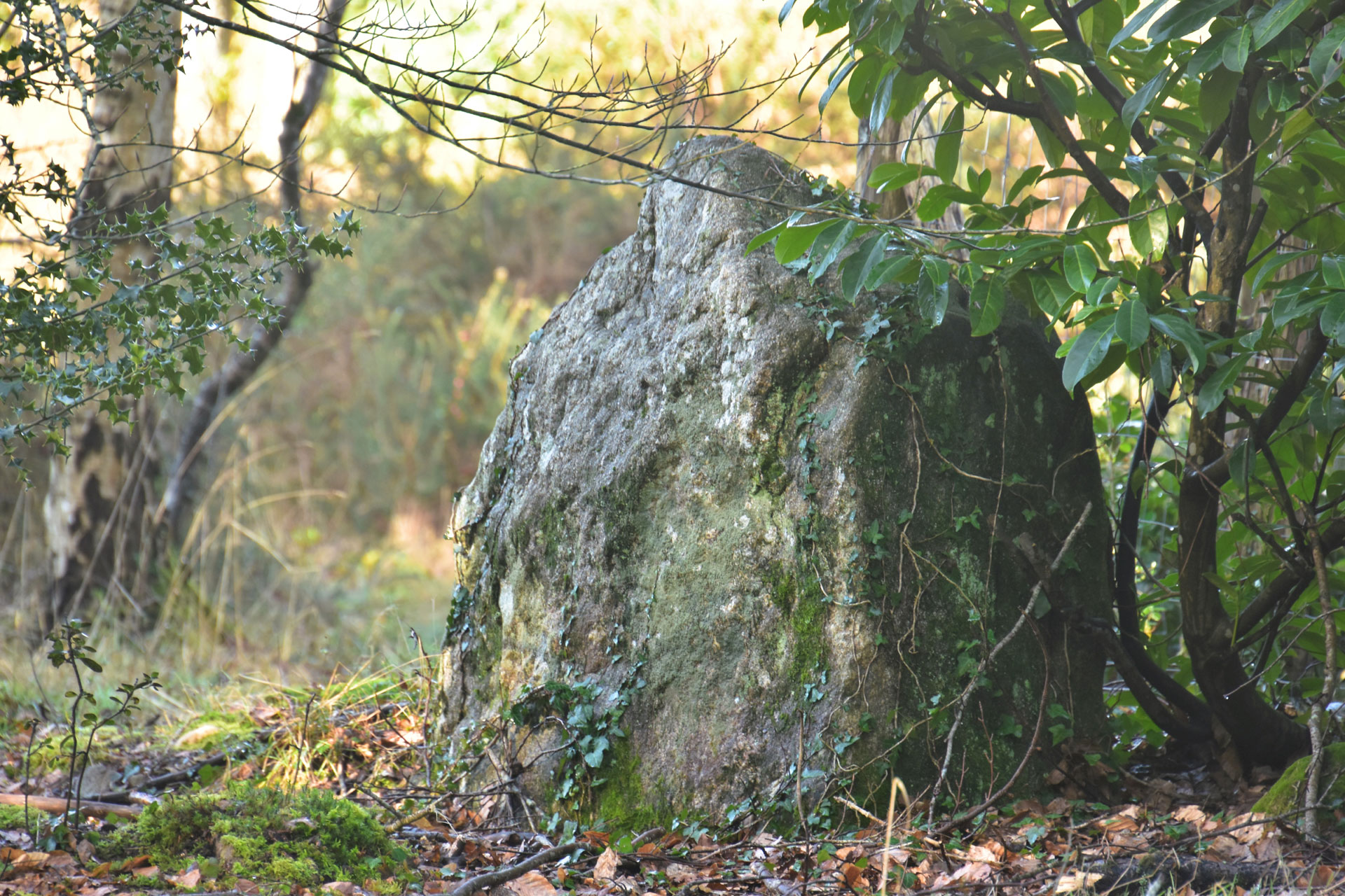 Le dolmen de Kerahouet