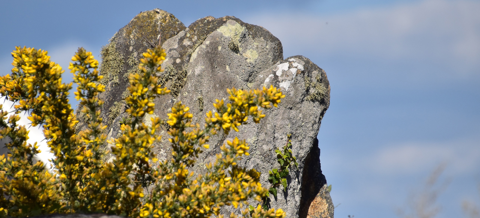 Le menhir du Motenno