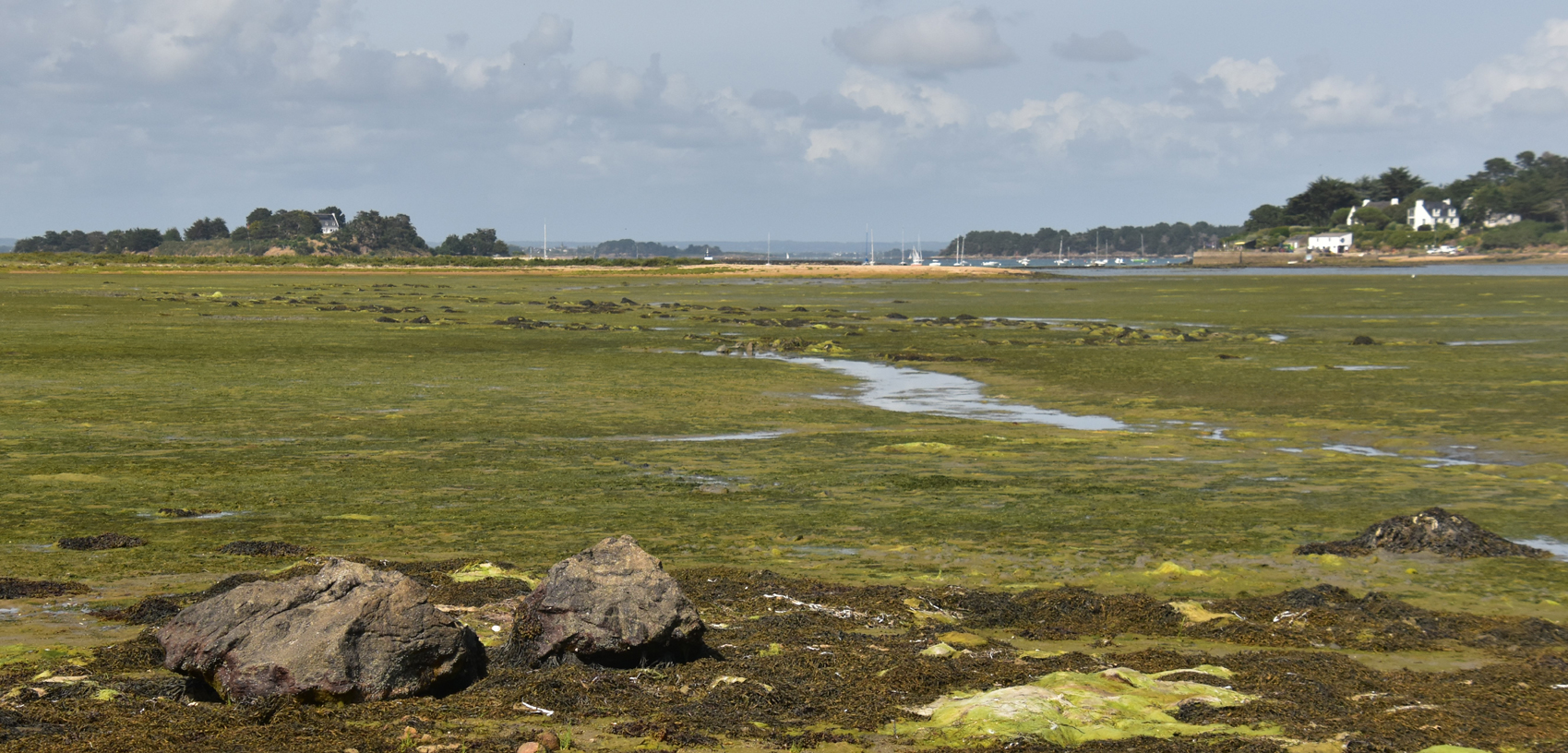 L'alignement de Porh Nèze