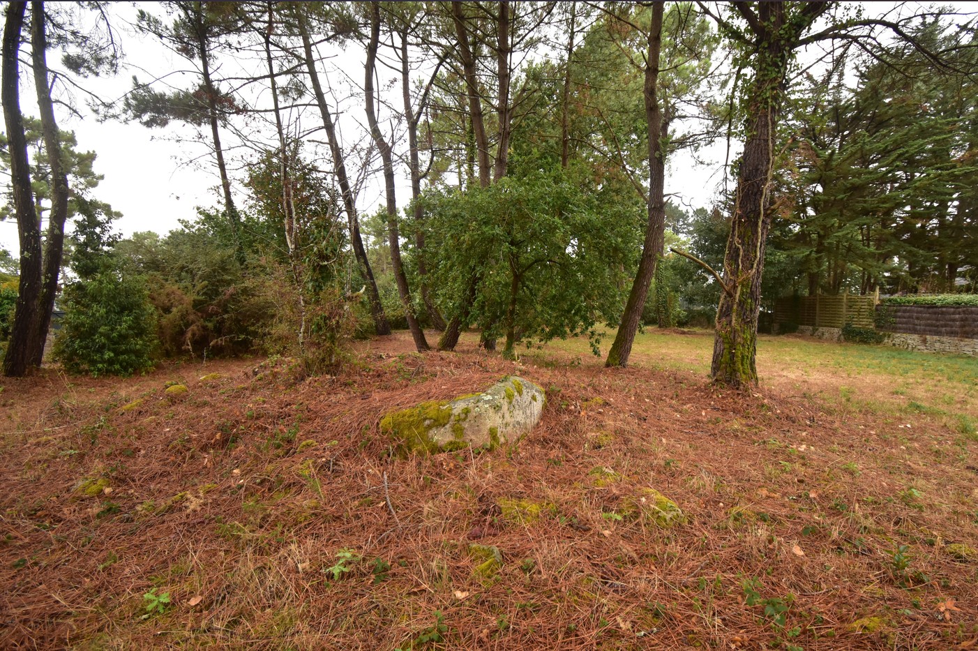 dolmen du blair