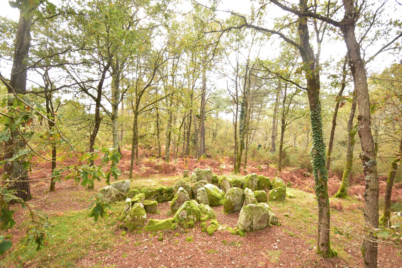Dolmen de Klud er Yer (Carnac)