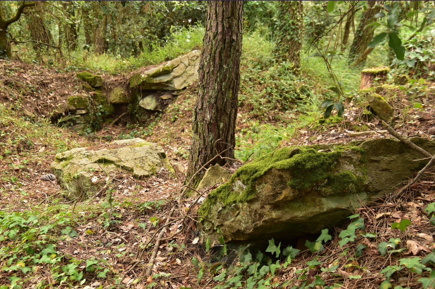 dolmen du couedic