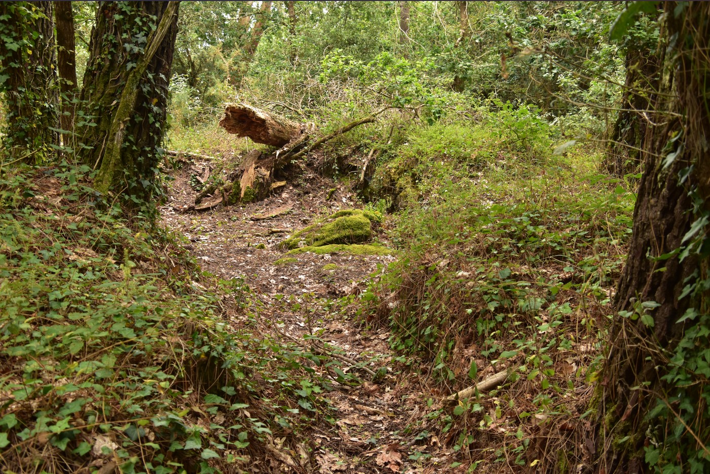 dolmen du couedic