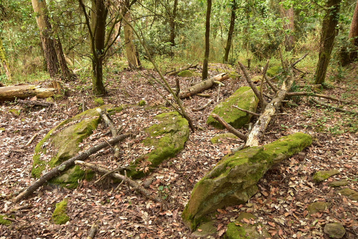 dolmen du couedic