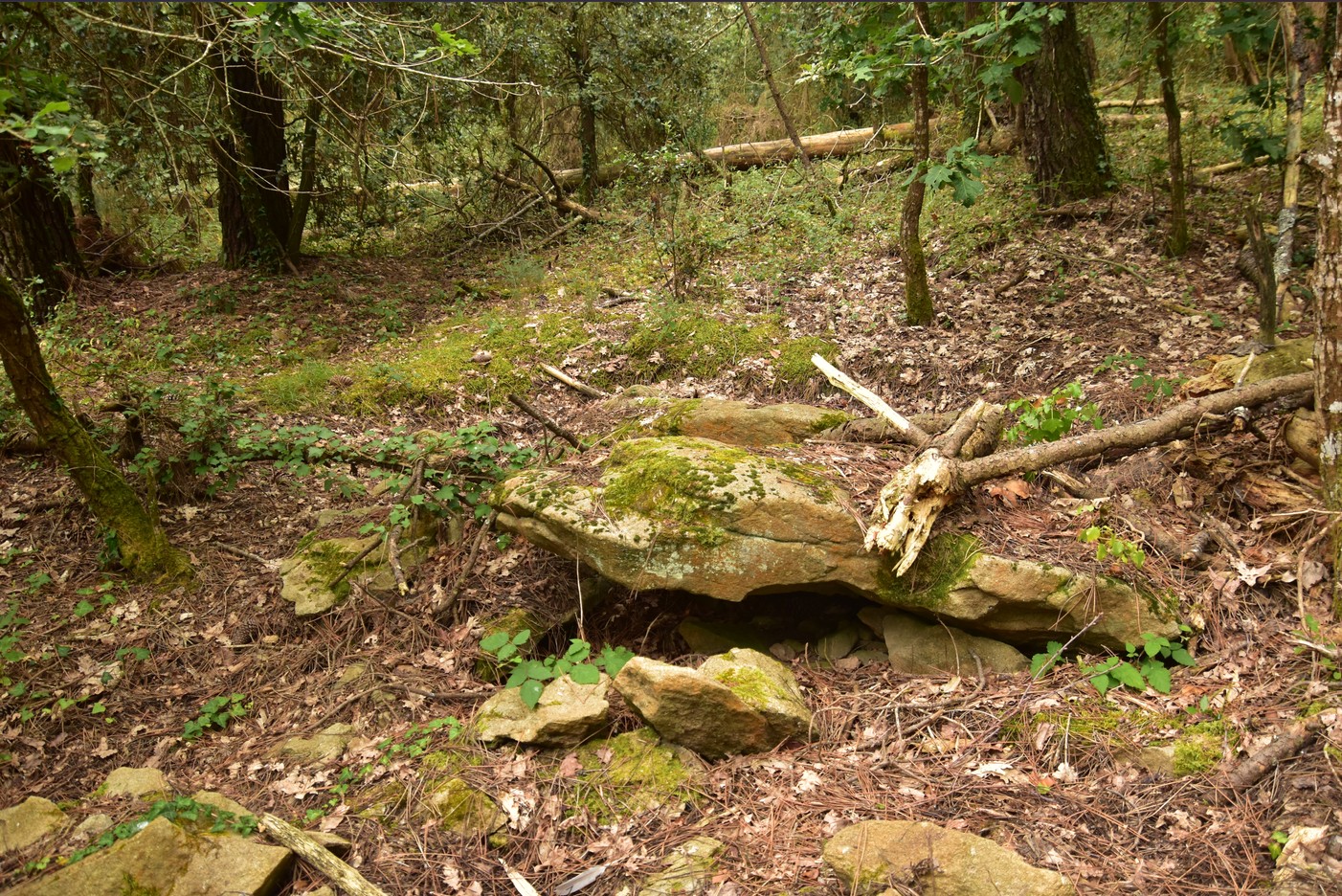 dolmen du couedic