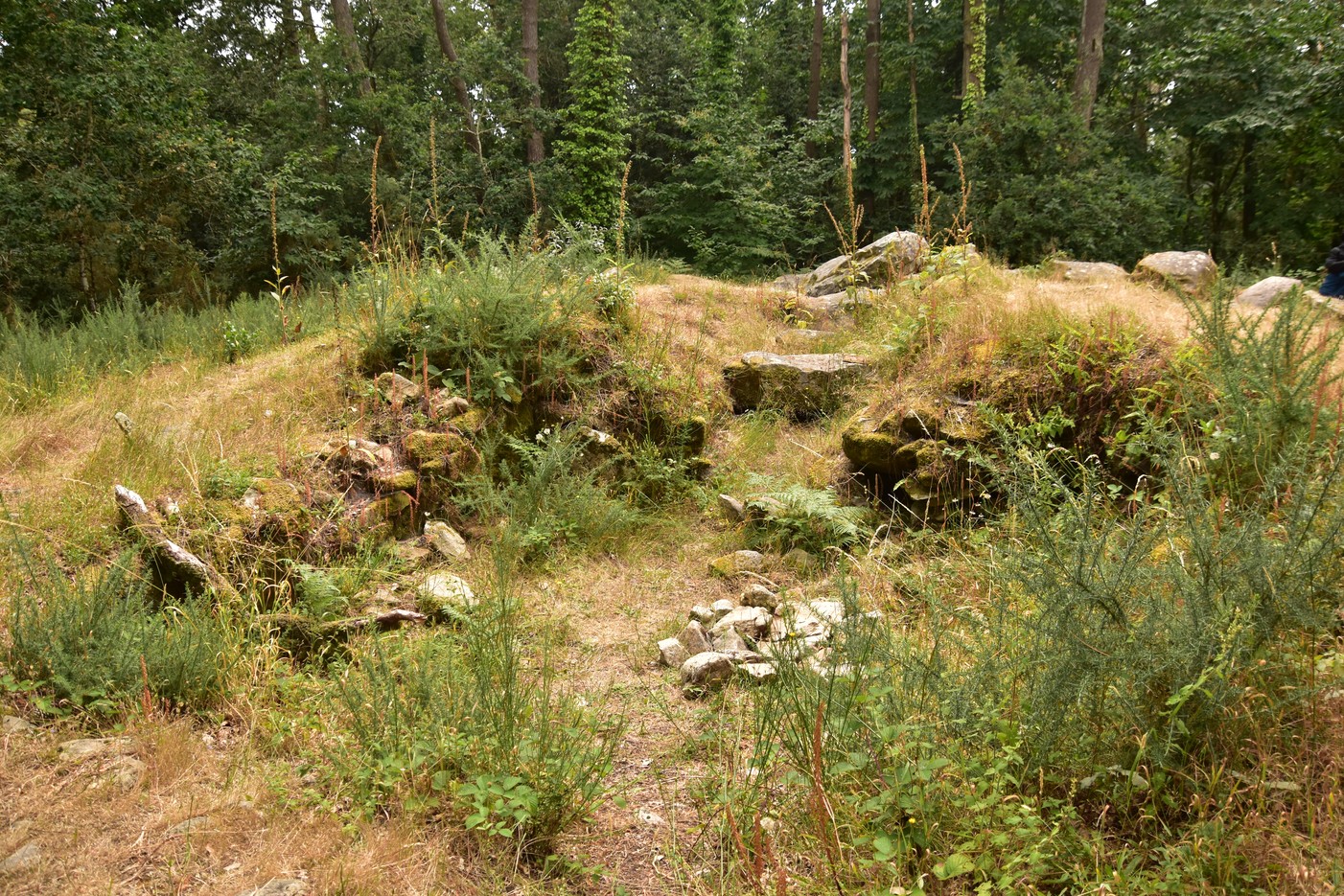 le tumulus de Toulvern