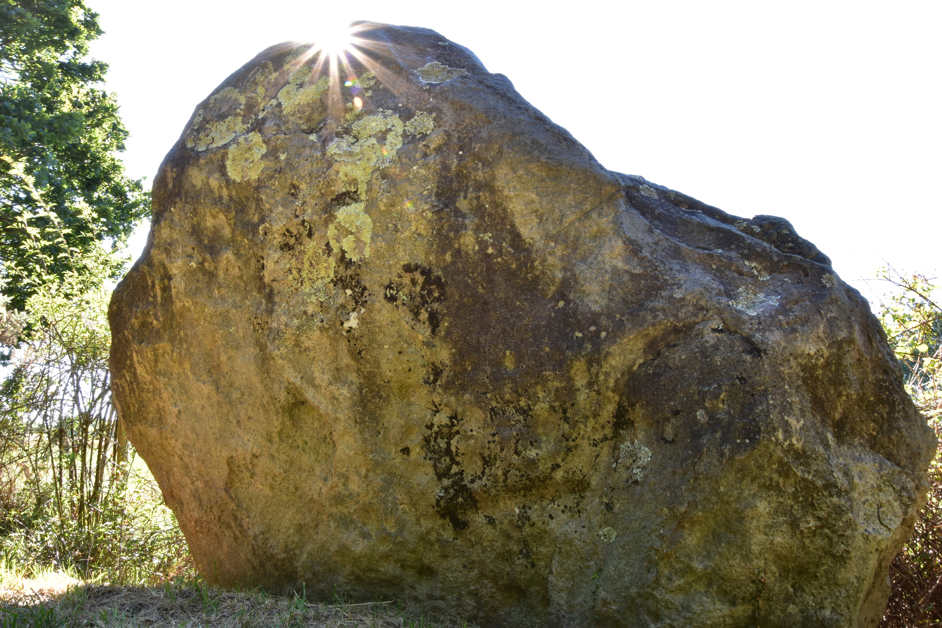 Le menhir de Treven Clos