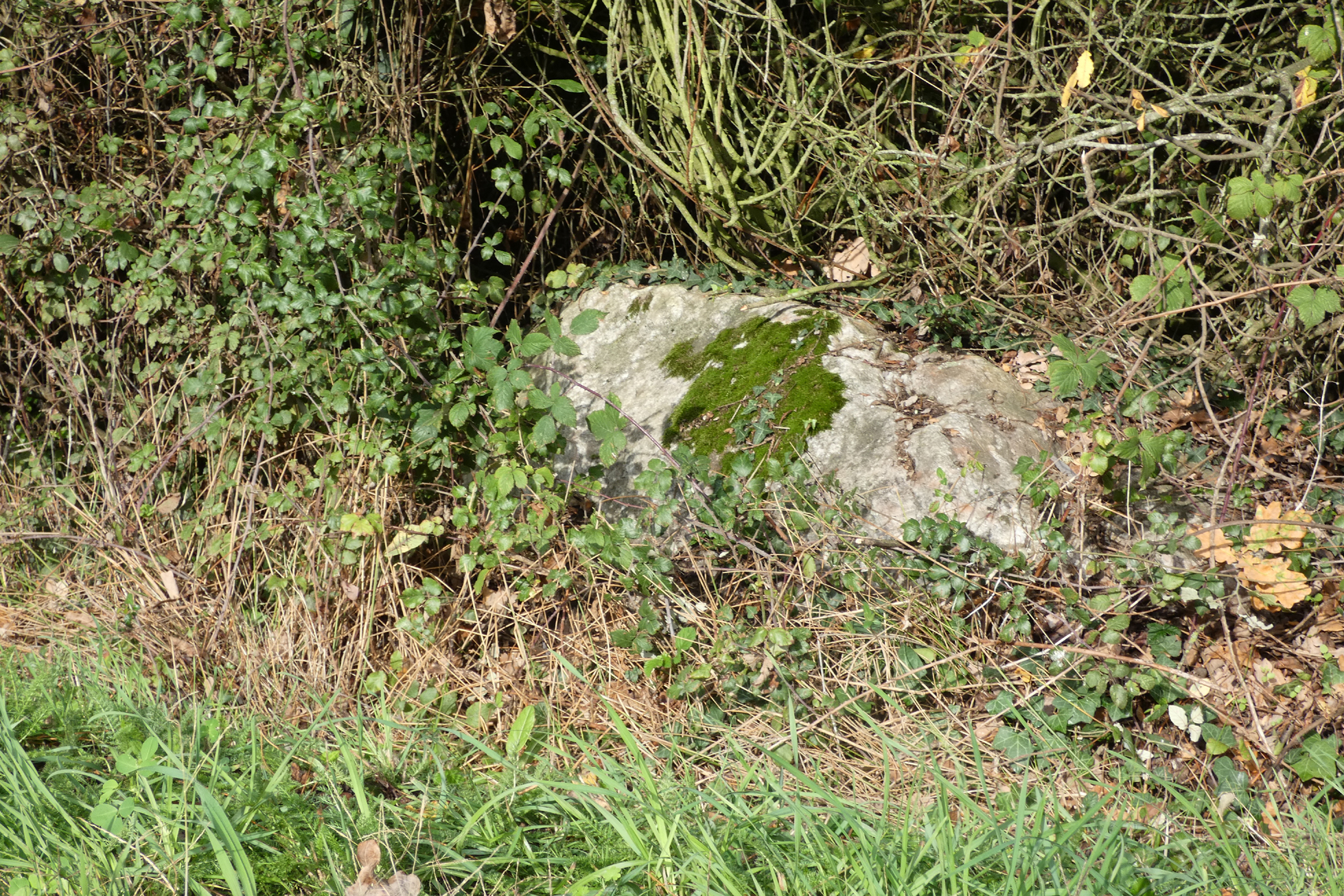 Le dolmen de la vache enragée