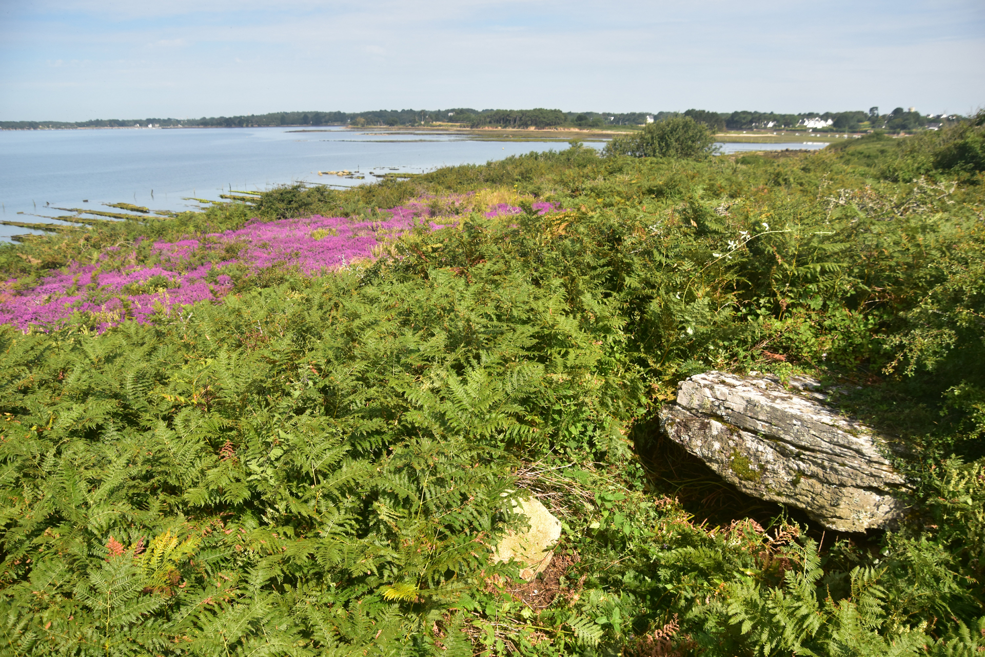 dolmen sur l'ile boede