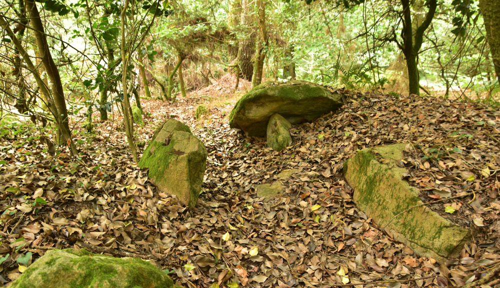 Le dolmen de Kerdrec'h