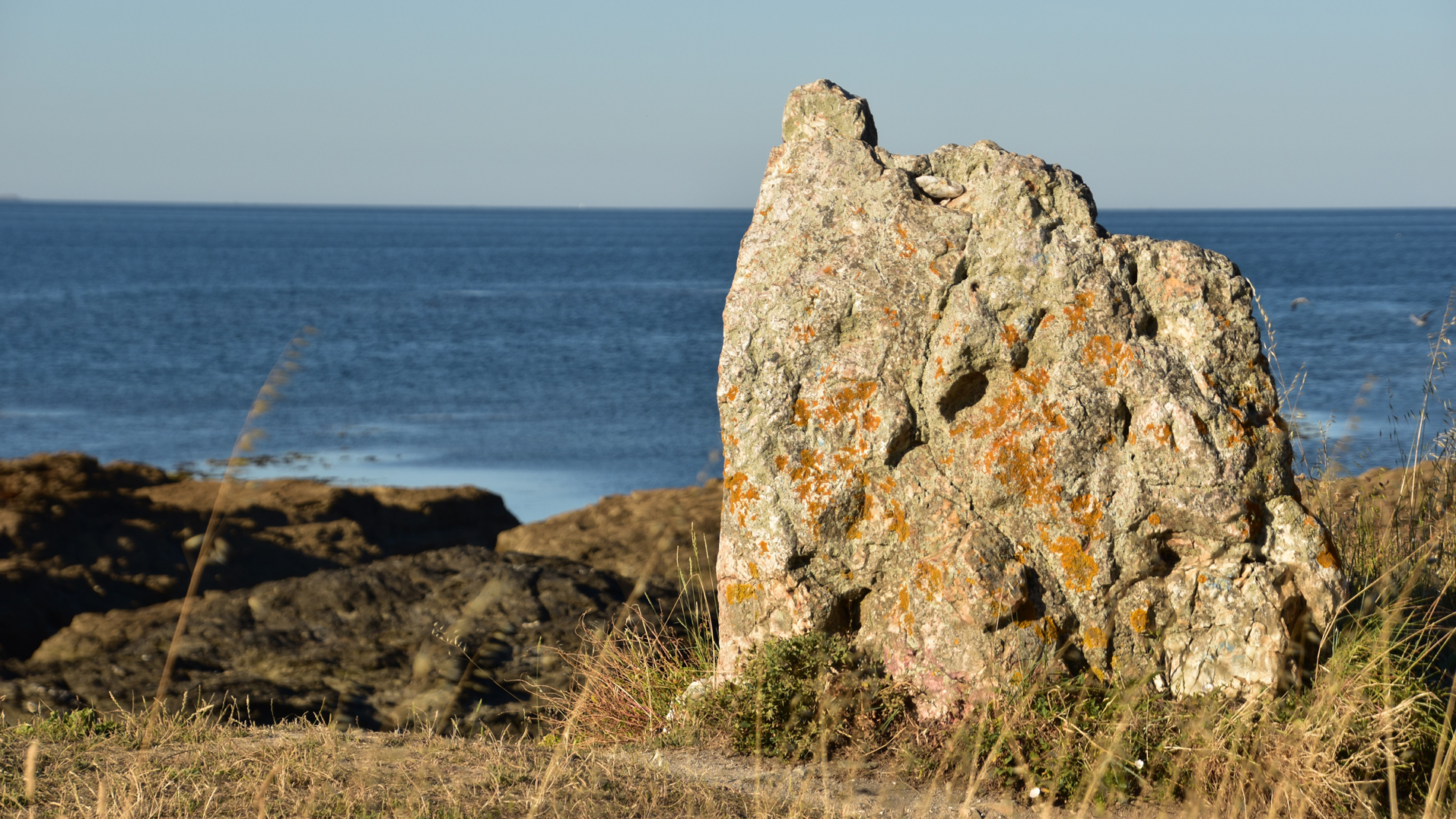 Le menhir de la pierre jaune