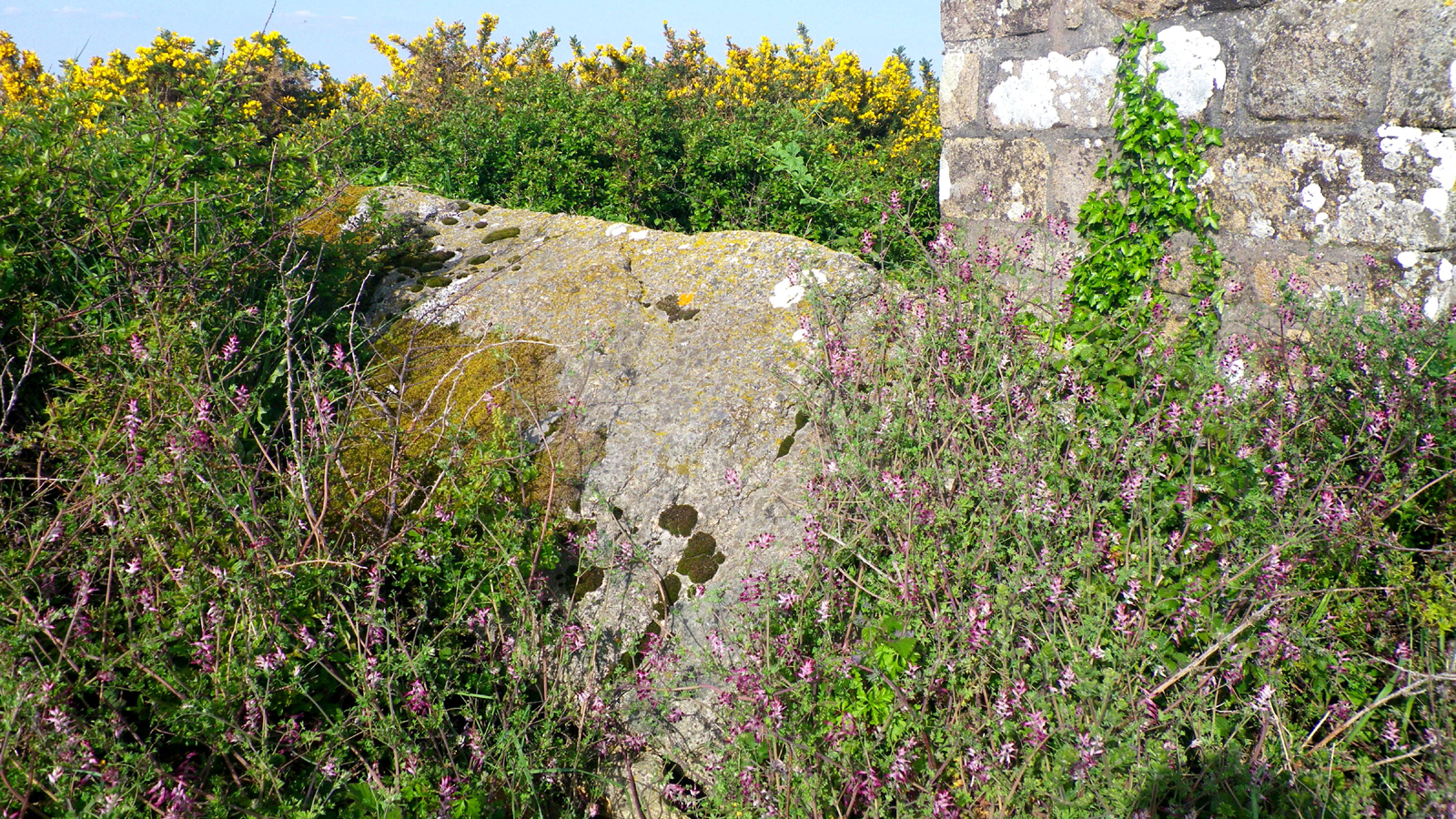 Le menhir de Liorh Larzonnic