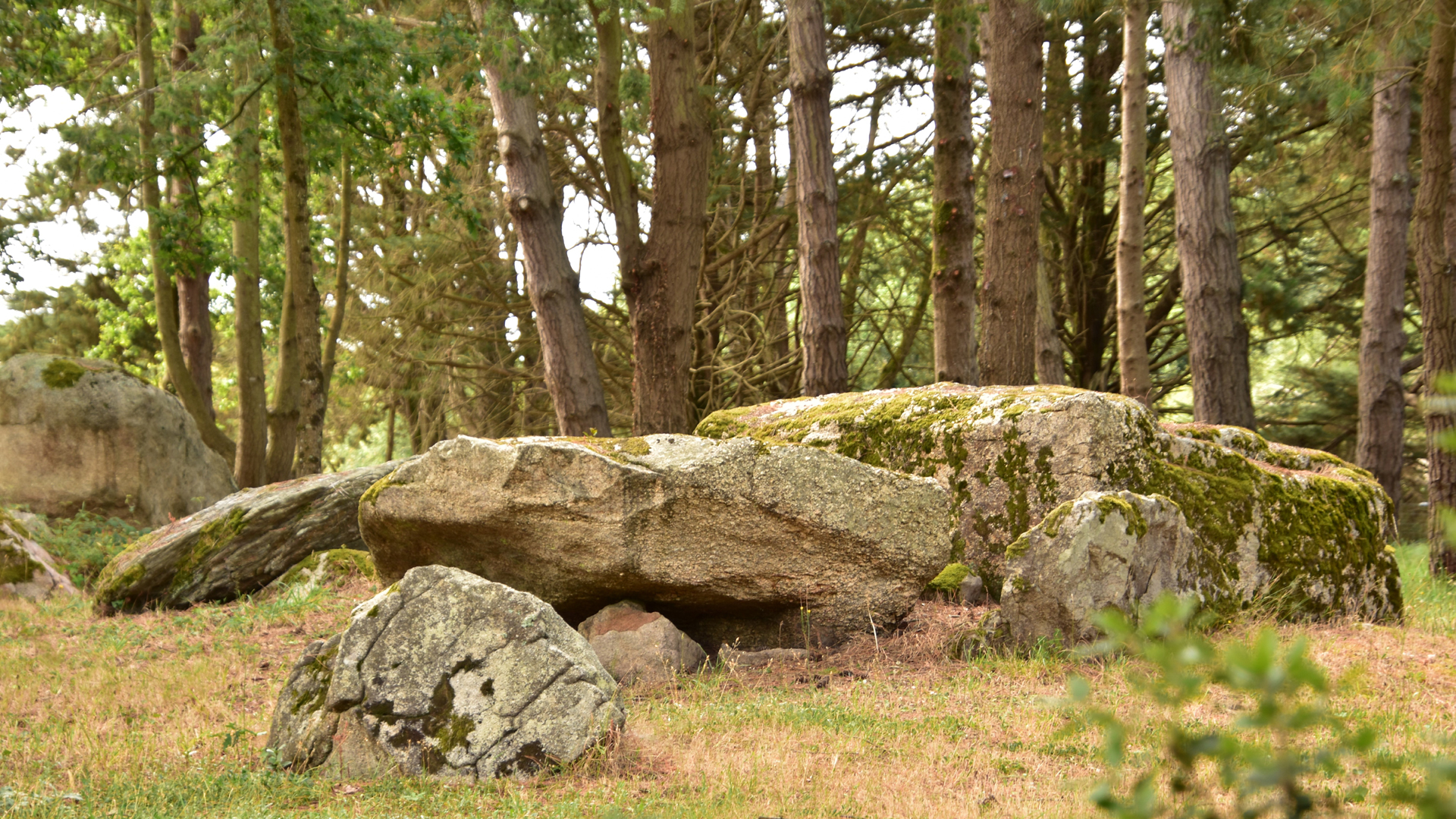 Le dolmen du Vondre