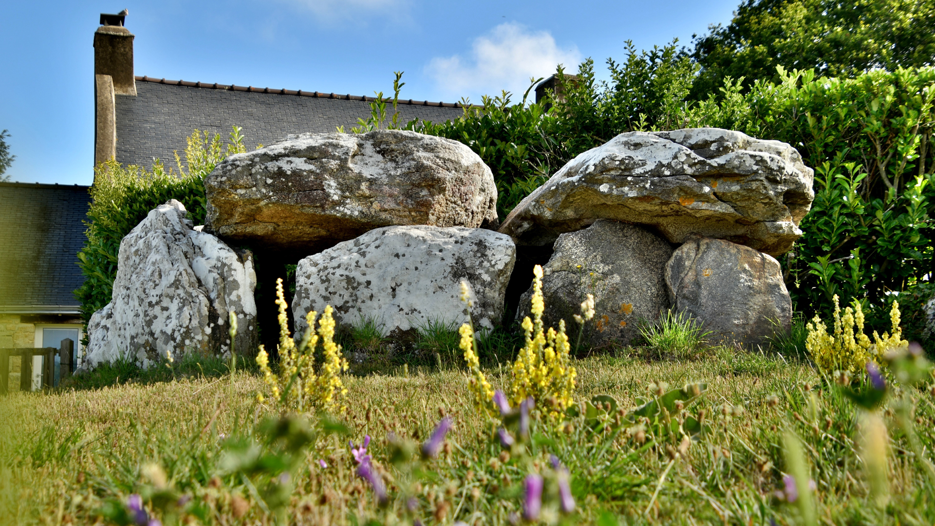 Le dolmen de Brillac