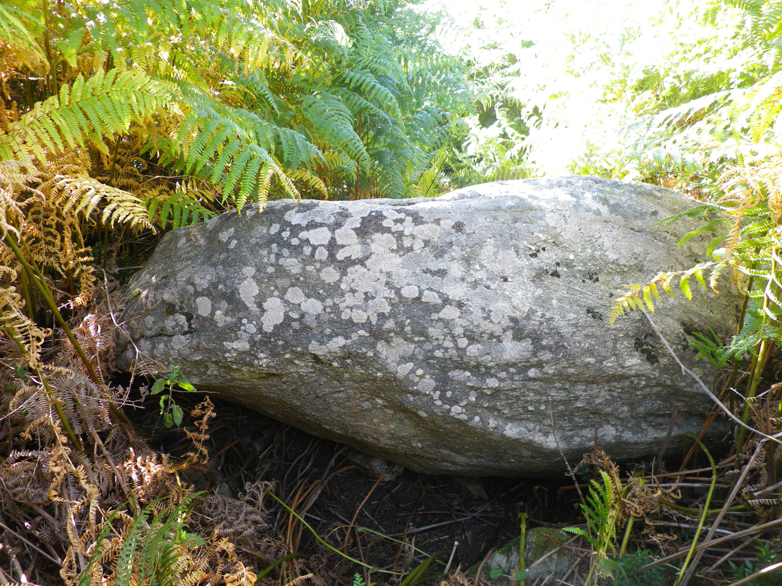 dolmen boede