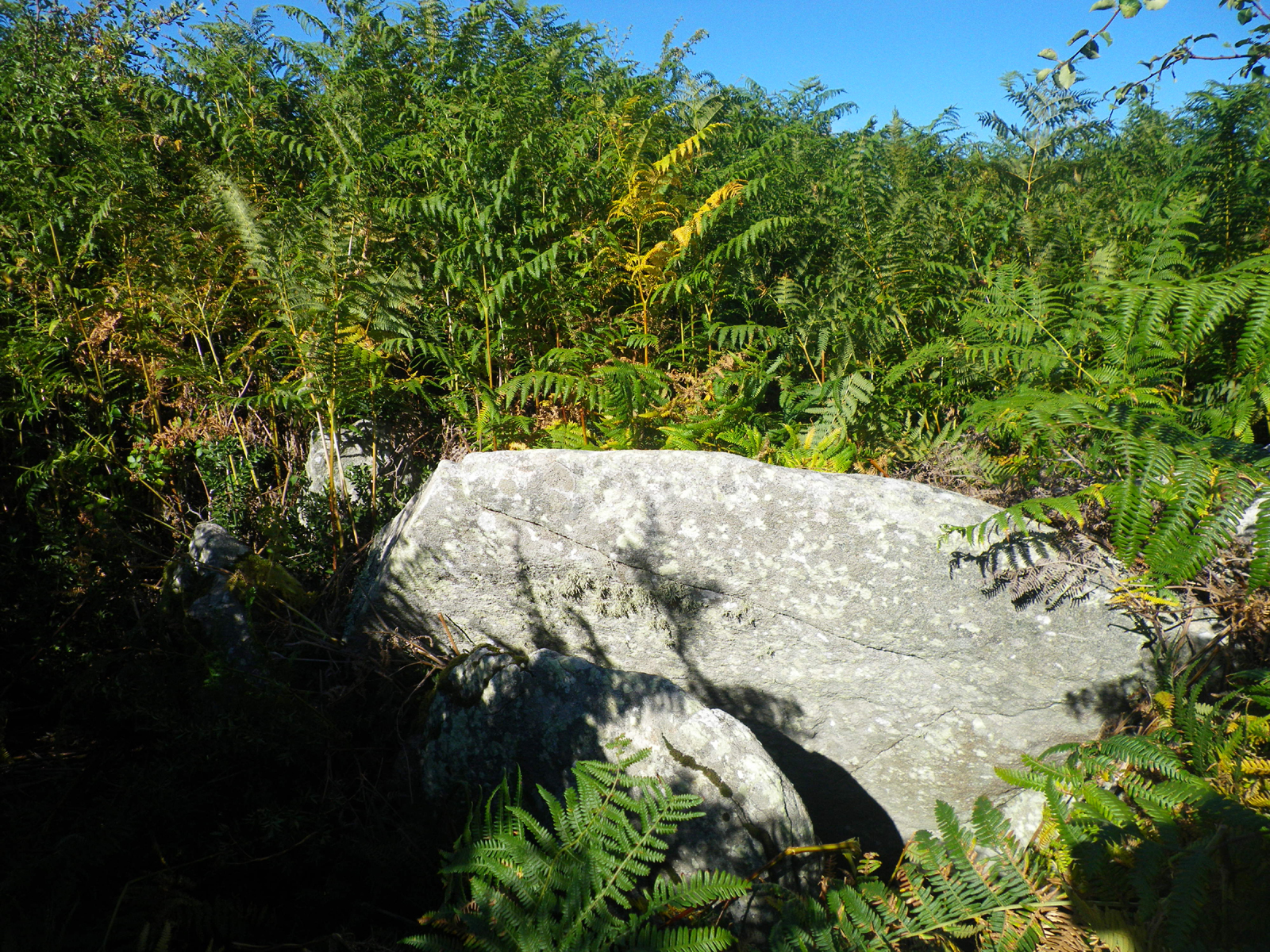 dolmen boede